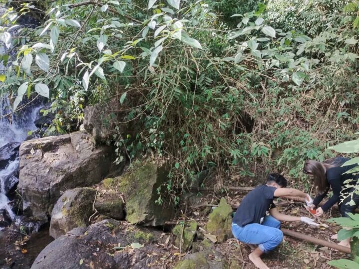 Pesquisa analisa solo de áreas verdes de Jundiaí com apoio da Fundação Serra do Japi
